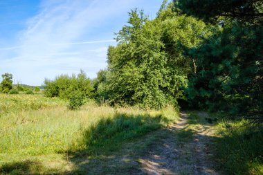 Yazlık kırsal alanlar ve üzerinde mavi gökyüzü olan ormanlar. Basit manzara