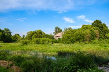 Yazlık kırsal alanlar ve üzerinde mavi gökyüzü olan ormanlar. Basit manzara