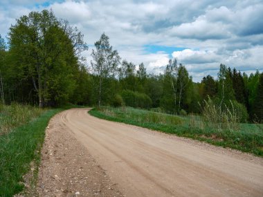 Tozlu çakıl yolu yaz mevsiminde yeşil ıslak orman. perspektif