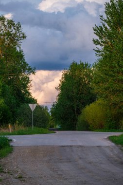 Tozlu çakıl yolu yaz mevsiminde yeşil ıslak orman. perspektif