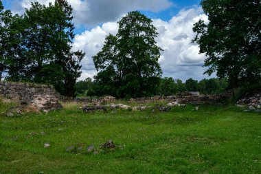Yeşil yaz çayırındaki eski taş şatonun kalıntıları.