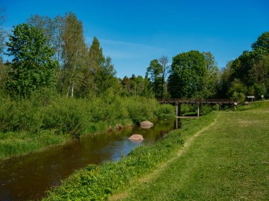 Sakin orman smal lriver doğal kayalardan küçük şelale ile. Kayaların ve ağaçların arasında akan sular,