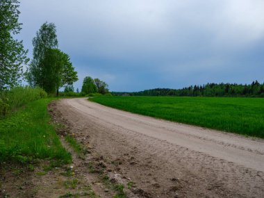 Tozlu çakıl yolu yaz mevsiminde yeşil ıslak orman. perspektif