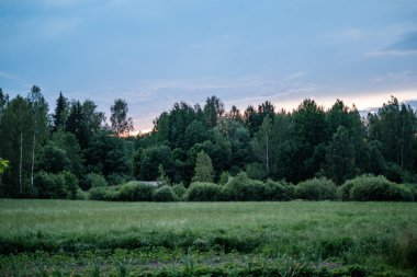 Yazlık kırsal alanlar ve üzerinde mavi gökyüzü olan ormanlar. Basit manzara