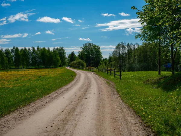 Dusty Gravel Road Summer Green Fresh Wet Forest Perspective Ahead — Stock Photo, Image