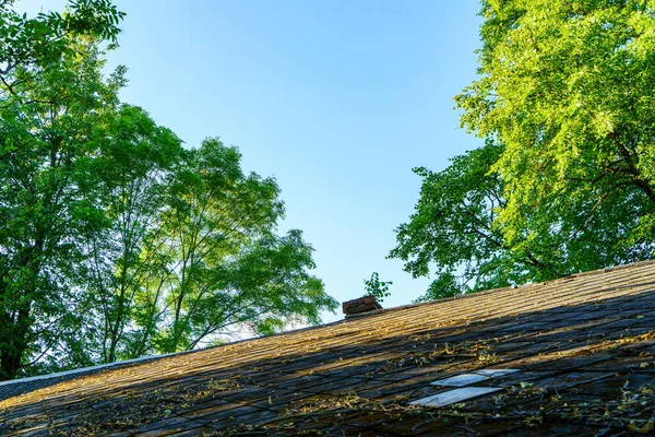 Boomtakken Met Bladeren Bakstenen Muur Van Het Huis Met Blauwe — Stockfoto