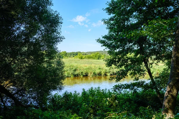 Yazlık kırsal alanlar ve üzerinde mavi gökyüzü olan ormanlar. Basit manzara