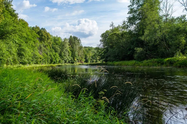 Yazlık kırsal alanlar ve üzerinde mavi gökyüzü olan ormanlar. Basit manzara