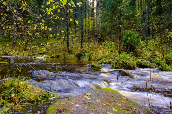 Klidný Les Smal Lriver Malým Vodopádem Přírodních Skal Voda Tekoucí — Stock fotografie