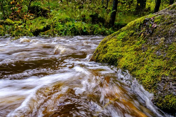 Lugn Skog Smal Älv Med Små Vattenfall Från Naturliga Klippor — Stockfoto