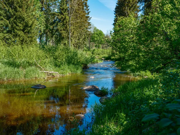 Ruhiger Wald Kleiner Fluss Mit Kleinem Wasserfall Aus Natürlichen Felsen — Stockfoto