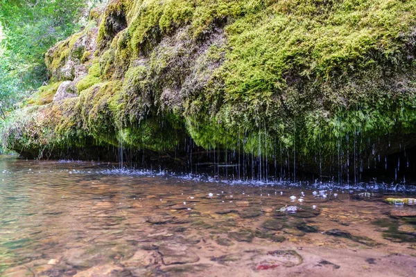 Ruhiger Wald Kleiner Fluss Mit Kleinem Wasserfall Aus Natürlichen Felsen — Stockfoto
