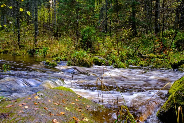 Calme Forêt Smal Lriver Avec Petite Cascade Roches Naturelles Eau — Photo