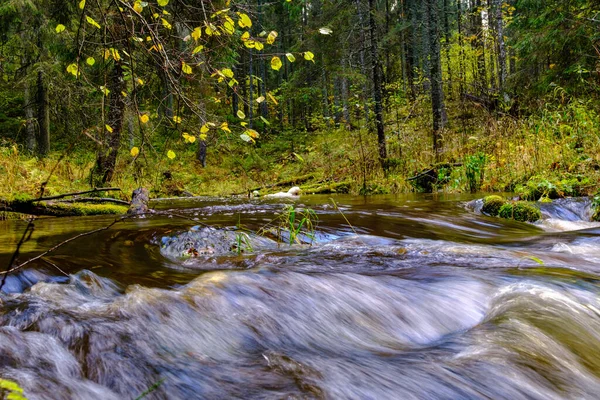 Klidný Les Smal Lriver Malým Vodopádem Přírodních Skal Voda Tekoucí — Stock fotografie