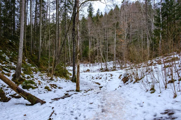 Eisblock Bedeckt Fluss Winter Mit Sandsteinfelsen — Stockfoto