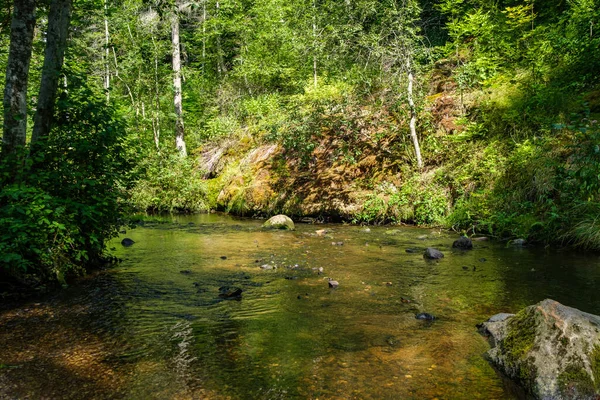 Ruhiger Wald Kleiner Fluss Mit Kleinem Wasserfall Aus Natürlichen Felsen — Stockfoto