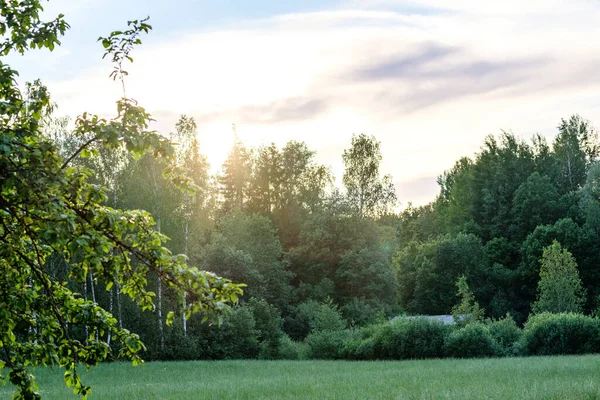 Zomervakantie Velden Bossen Met Blauwe Lucht Erboven Eenvoudig Landschap — Stockfoto