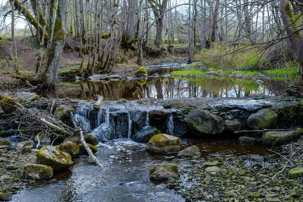 Bosque Tranquilo Smal Lriver Con Pequeña Cascada Rocas Naturales Agua —  Fotos de Stock