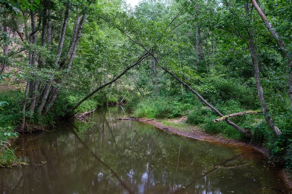 Calme Forêt Smal Lriver Avec Petite Cascade Roches Naturelles Eau — Photo