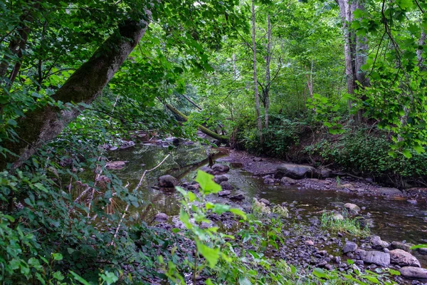 Kalme Bos Smalle Rivier Met Kleine Waterval Van Natuurlijke Rotsen — Stockfoto