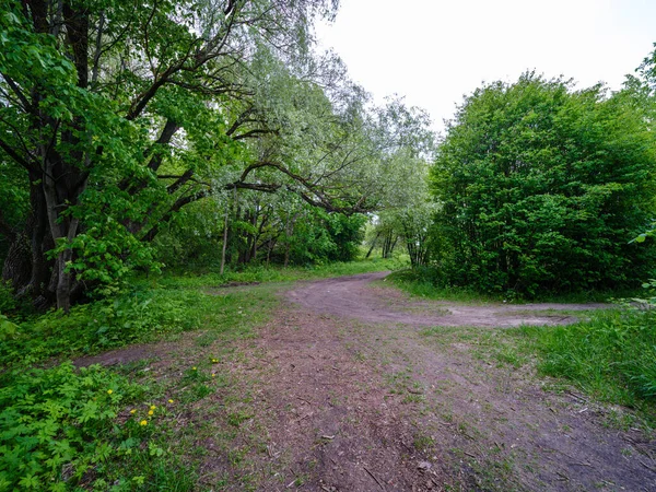 Route Gravier Poussiéreux Été Vert Forêt Humide Fraîche Perspective Venir — Photo