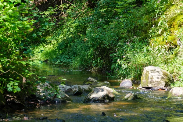 Nyugodt Erdő Szirom Lriver Kis Vízesés Természetes Sziklák Víz Folyik — Stock Fotó