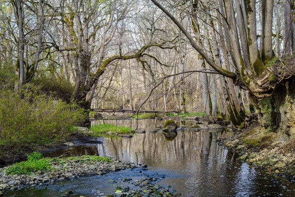 Ruhiger Wald Kleiner Fluss Mit Kleinem Wasserfall Aus Natürlichen Felsen — Stockfoto