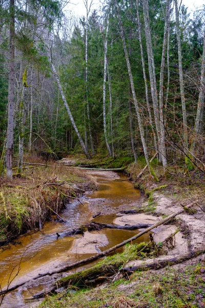Bosque Tranquilo Smal Lriver Con Pequeña Cascada Rocas Naturales Agua — Foto de Stock