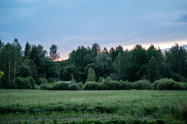 Yazlık kırsal alanlar ve üzerinde mavi gökyüzü olan ormanlar. Basit manzara