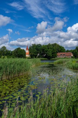 Yazın çimenleri ve sudaki yansımaları olan küçük kırsal gölet.