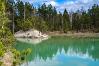 Yazın çimenleri ve sudaki yansımaları olan küçük kırsal gölet.