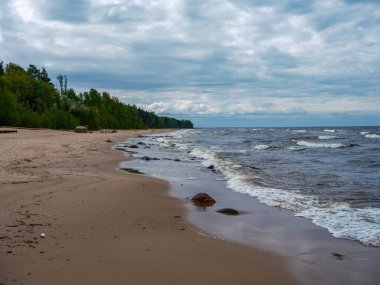 Beyaz kumlu ve sisli havada büyük kayalıklı baltık deniz plajı