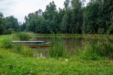 Yazın yüksek çim ve yapraklarla dolu kırsal orman nehri. Taşlı koyu kahverengi su akıntısı.