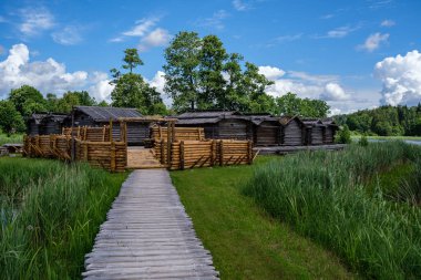 Vahşi doğada yürüyüş için ormandaki tahta patika. yaz sahnesi