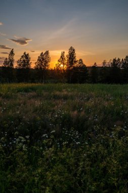 Şehir çatıları üzerinde dramatik renkler ve bulutlarla koyu renkli günbatımı