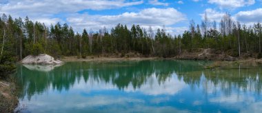 Yazın çimenleri ve sudaki yansımaları olan küçük kırsal gölet.