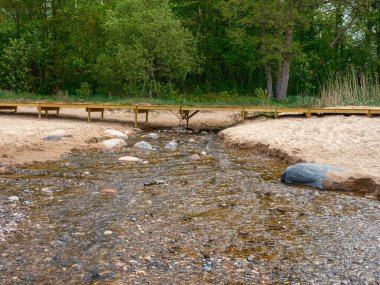 Beyaz kumlu ve sisli havada büyük kayalıklı baltık deniz plajı