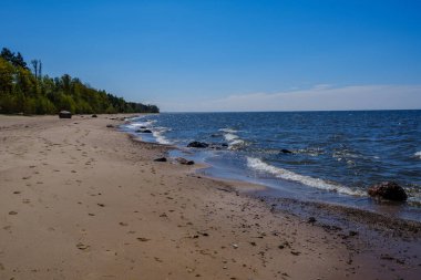 Beyaz kumlu ve sisli havada büyük kayalıklı baltık deniz plajı