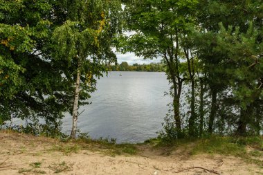 Yazın yüksek çim ve yapraklarla dolu kırsal orman nehri. Taşlı koyu kahverengi su akıntısı.