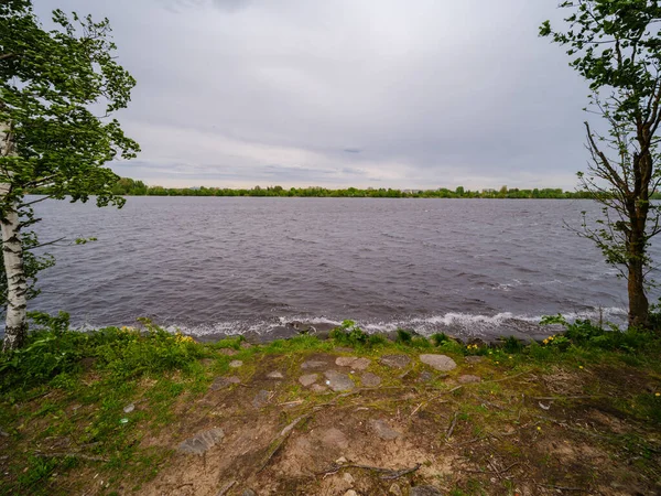 Landschap Bos Rivier Zomer Met Hoog Gras Gebladerte Donkerbruine Waterstroom — Stockfoto