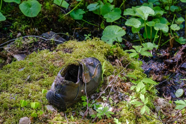 Déchets Aléatoires Objets Laissés Dans Les Sentiers Nature Après Les — Photo