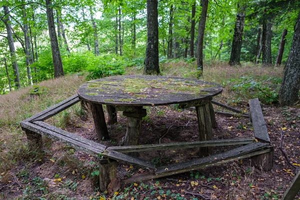 自然の中でのハイキングのための森の中の木製の板の歩道 夏のシーン — ストック写真