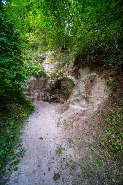 Пещеры Песчаника Лесу Латвии Сохранение Природы — стоковое фото