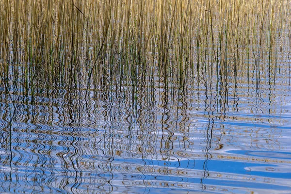 Kleiner Ländlicher Teich Mit Gras Und Spiegelungen Wasser Sommer — Stockfoto