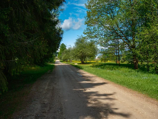 Sendero Turístico Estrecho Bosque Sendero Para Las Aventuras Naturaleza Naturaleza — Foto de Stock