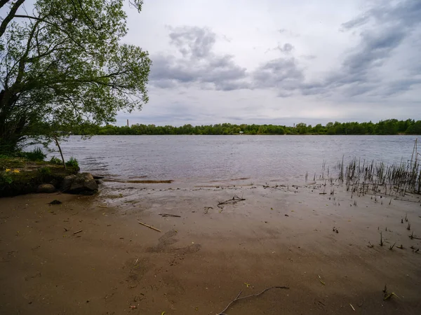 Landsbygd Skog Flod Sommaren Med Högt Gräs Och Lövverk Mörkbrun — Stockfoto