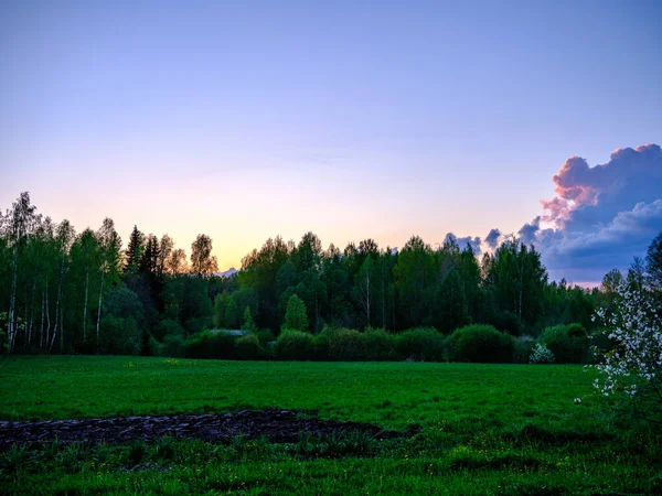 Coucher Soleil Sombre Coloré Sur Les Toits Ville Avec Des — Photo