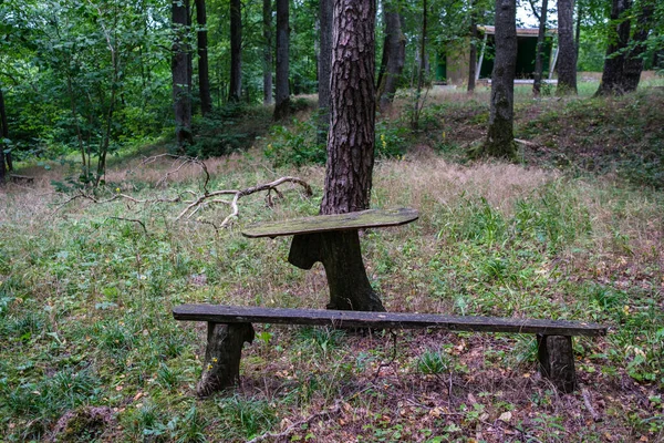 自然の中でのハイキングのための森の中の木製の板の歩道 夏のシーン — ストック写真