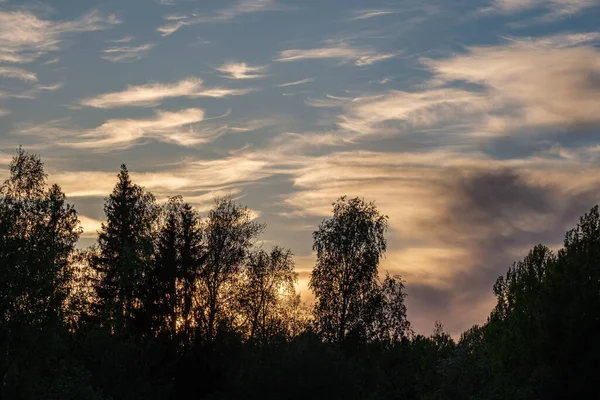 Coucher Soleil Sombre Coloré Sur Les Toits Ville Avec Des — Photo