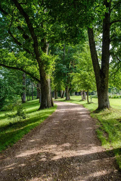 Sendero Turístico Estrecho Bosque Sendero Para Las Aventuras Naturaleza Naturaleza —  Fotos de Stock